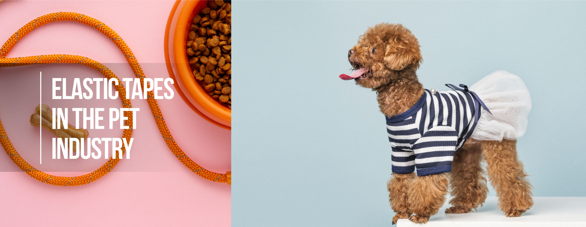 Elastic Tapes in the Pet Industry｜Pet Clothing,Pet Accessories