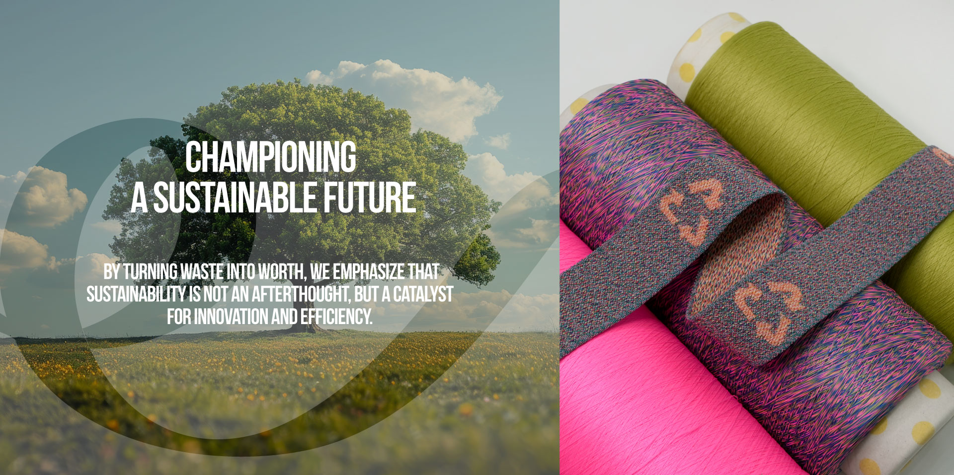 Championing a Sustainable Future