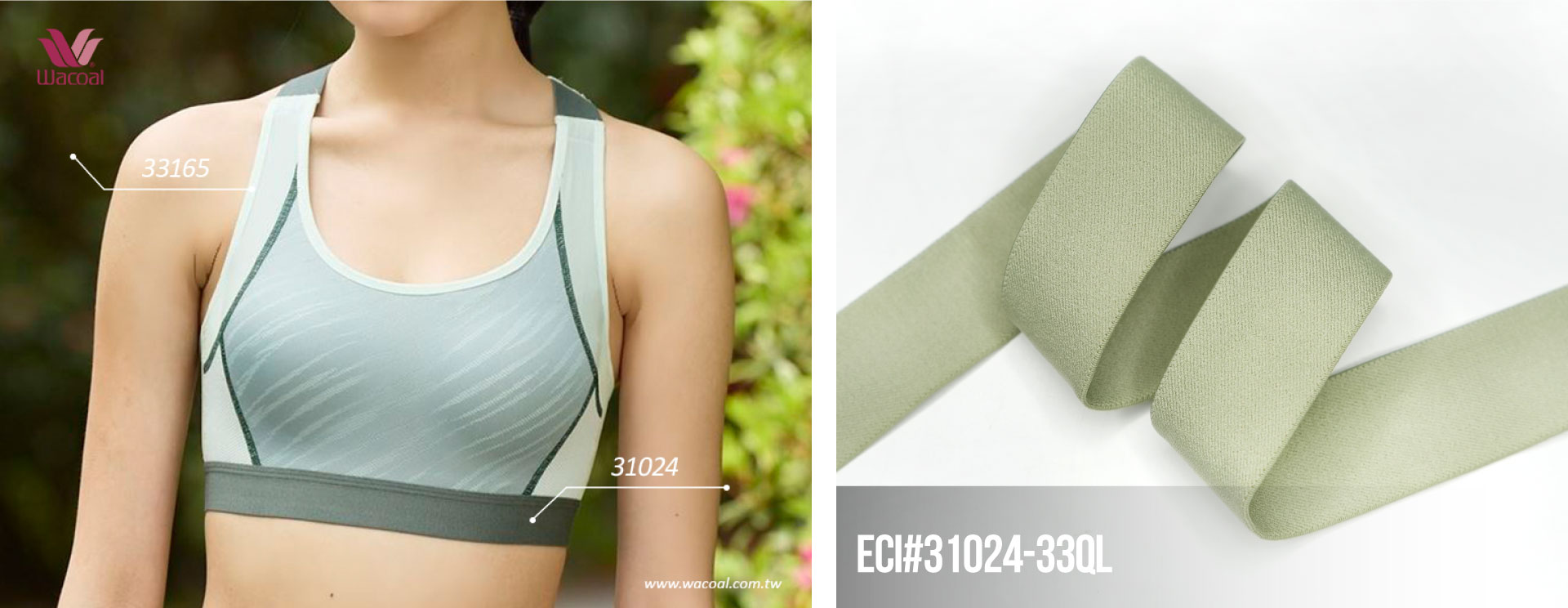 ECI chest band product 31024-33QL